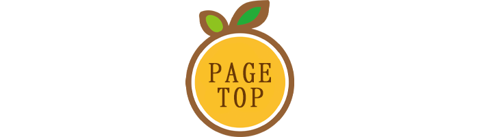 PAGE TOP